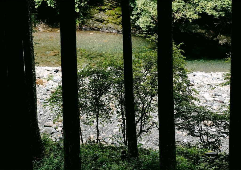 The Sustainable Forestry Over 500 Years in Yoshino, Nara, Japan