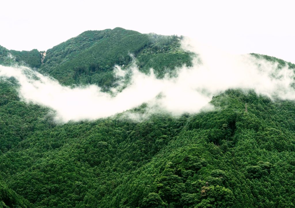 The Sustainable Forestry Over 500 Years in Yoshino, Nara, Japan