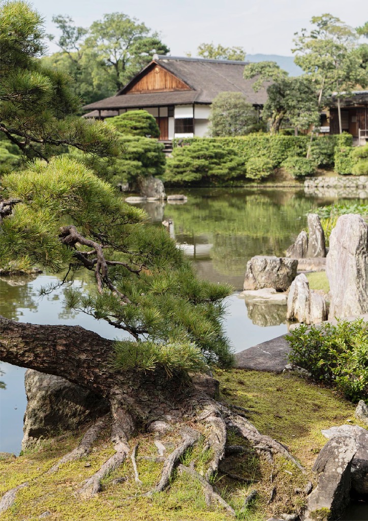 The Sustainable Forestry Over 500 Years in Yoshino, Nara, Japan