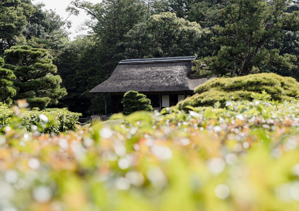 The Sustainable Forestry Over 500 Years in Yoshino, Nara, Japan